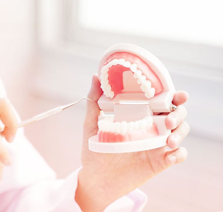 美しさと機能性を両立する審美的治療